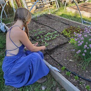 Christy Dawn Delphine Dress – Rare Purple Maxi, Open Back (xs)